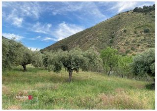 Terreno en venta en Barrio de la Vega en Monachil