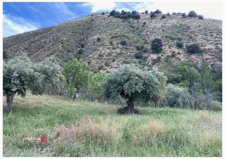 Terreno en venta en Barrio de la Vega en Monachil