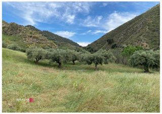 Terreno en venta en Barrio de la Vega en Monachil