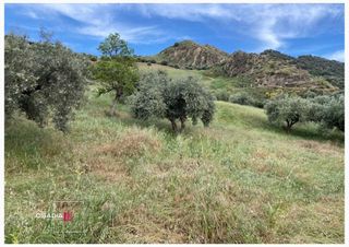 Terreno en venta en Barrio de la Vega en Monachil