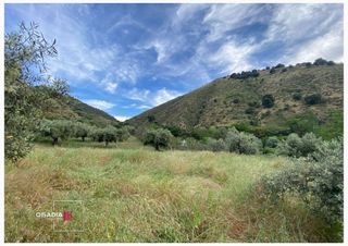 Terreno en venta en Barrio de la Vega en Monachil