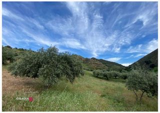 Terreno en venta en Barrio de la Vega en Monachil