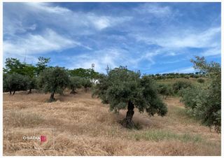 Terreno en venta en Barrio de la Vega en Monachil
