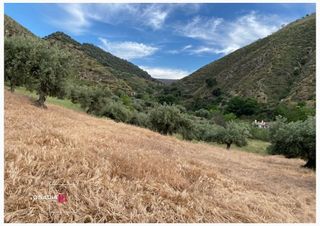 Terreno en venta en Barrio de la Vega en Monachil