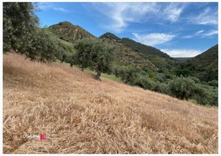 Terreno en venta en Barrio de la Vega en Monachil