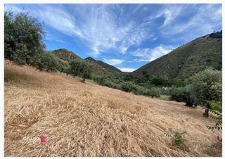 Terreno en venta en Barrio de la Vega en Monachil