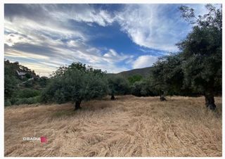 Terreno en venta en Barrio de la Vega en Monachil