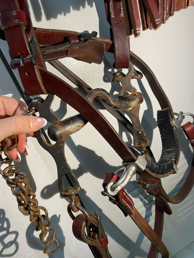 Ciliegia Cabezada Doma Vaquera con Serreta.