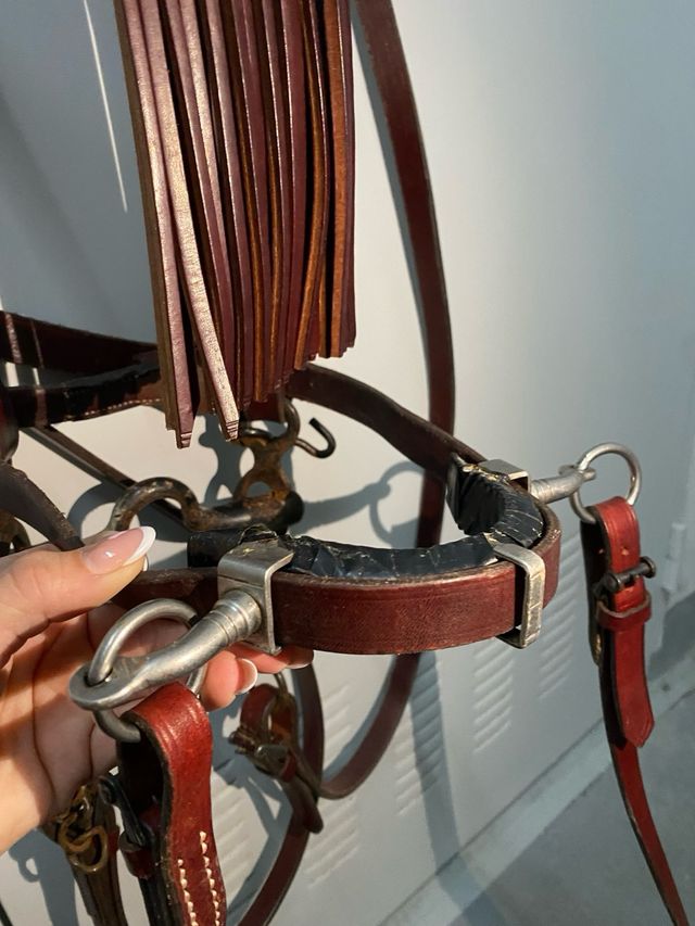 Ciliegia Cabezada Doma Vaquera con Serreta.