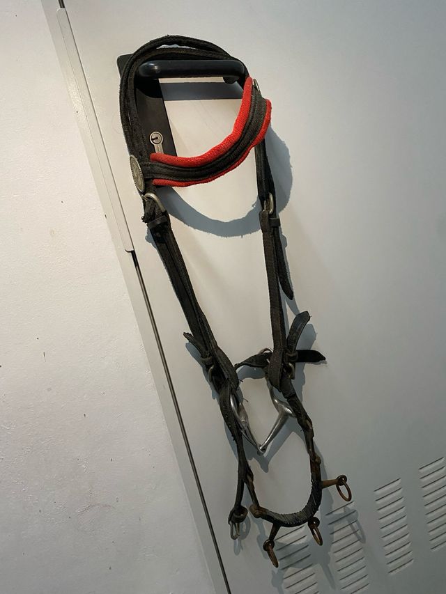 Cabezada con serreta