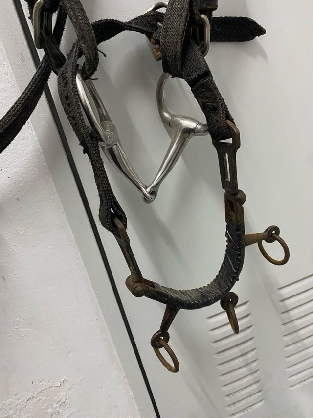 Cabezada con serreta