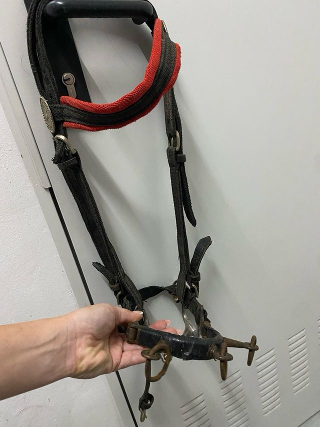 Cabezada con serreta