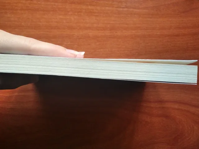 Presagios / The Caller (Inspector Sejer) (Spani...