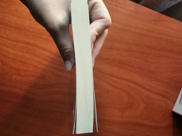 Presagios / The Caller (Inspector Sejer) (Spani...