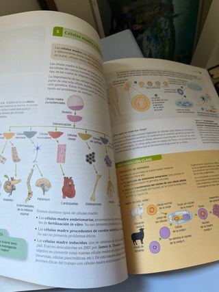 CULTURA CIENTIFICA SERIE EXPLORA 1 BTO SABER HACER