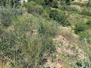 Terreno en venta en Castellnou - Can Mir - Sant Muç en Rubí