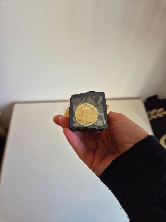 Piccolo folletto su scrigno