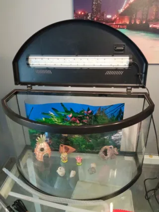 Acuario panorámico 45L