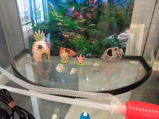 Acuario panorámico 45L