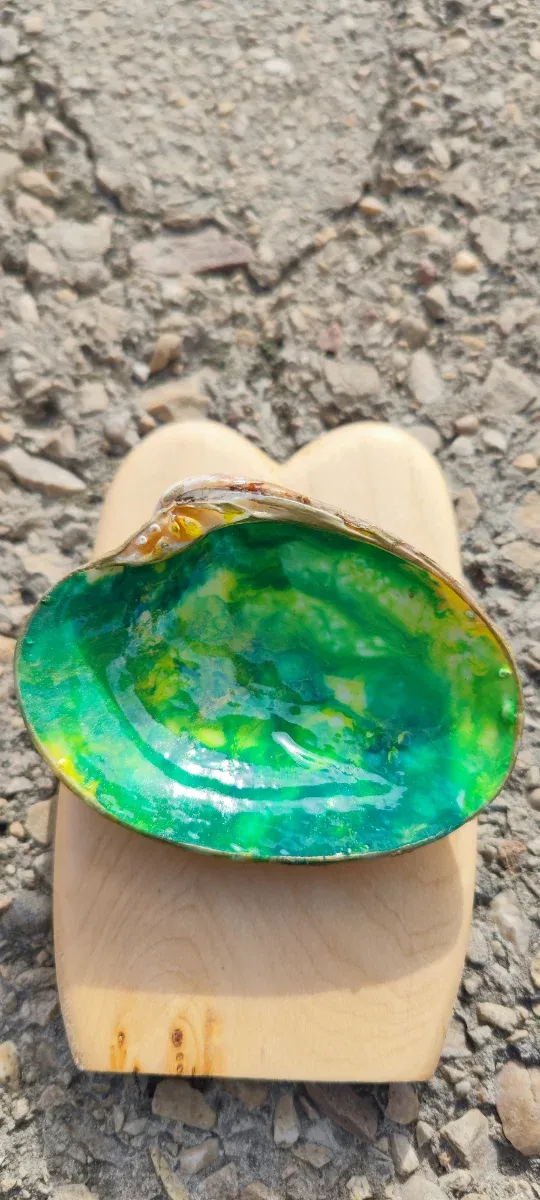 Joyero o decoración de concha