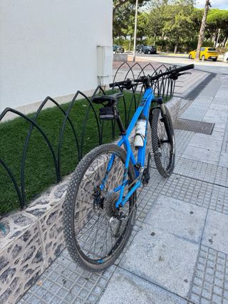 Bicicletta Trek X-Caliber 9 29"