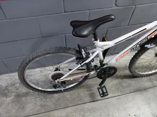 Bicicleta infantil 14 Freerider