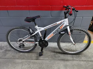 Bicicleta infantil 14 Freerider