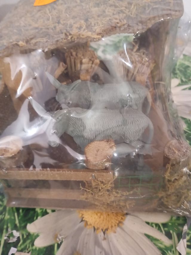 Establo Belén con burros