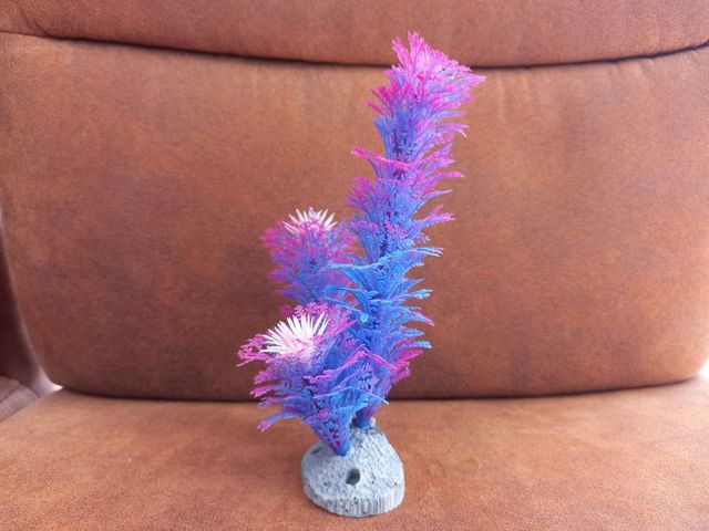 Planta Acuario Zolux Azul