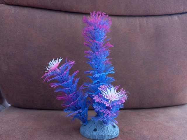 Planta Acuario Zolux Azul