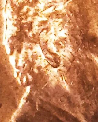 MONEDA 1 CENTAVO LINCOLN.2018D.ERROR DOBLE OREJA.