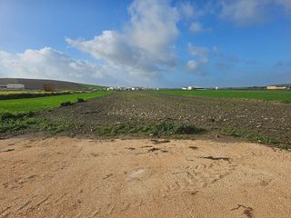 Nave industrial en venta en Marchena