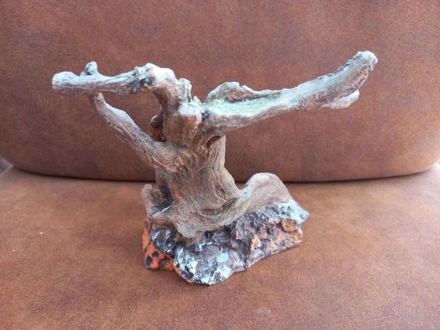 Árbol con cueva para acuario