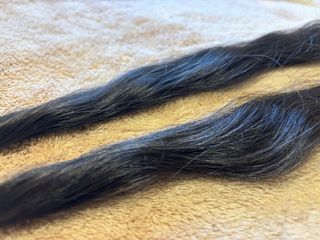 Mallas falleras castaño oscuro