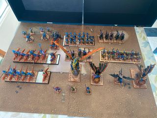 Ejército Elfos Oscuros Warhammer TOW pintado