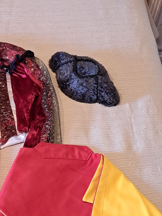 Disfraz Torero Adulto Talla Única