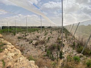 Casa rural en venta en Monserrat