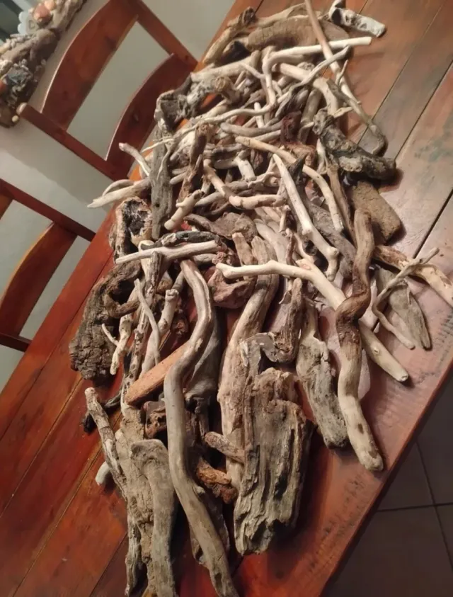 35 pezzi legni da mareggiata