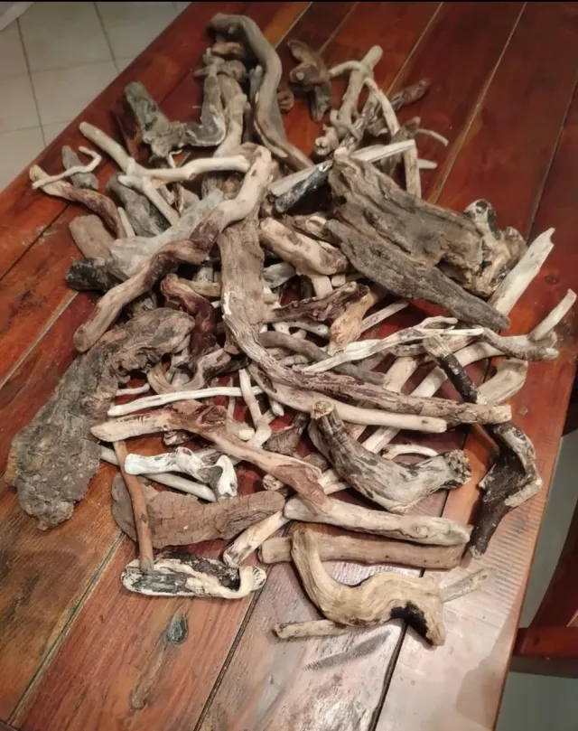 35 pezzi legni da mareggiata