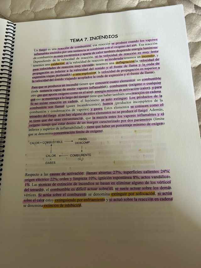 Libro apuntes Seguridad Laboral para Ingeniería