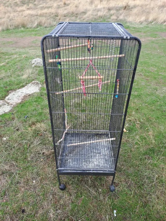 Jaula para loro grande