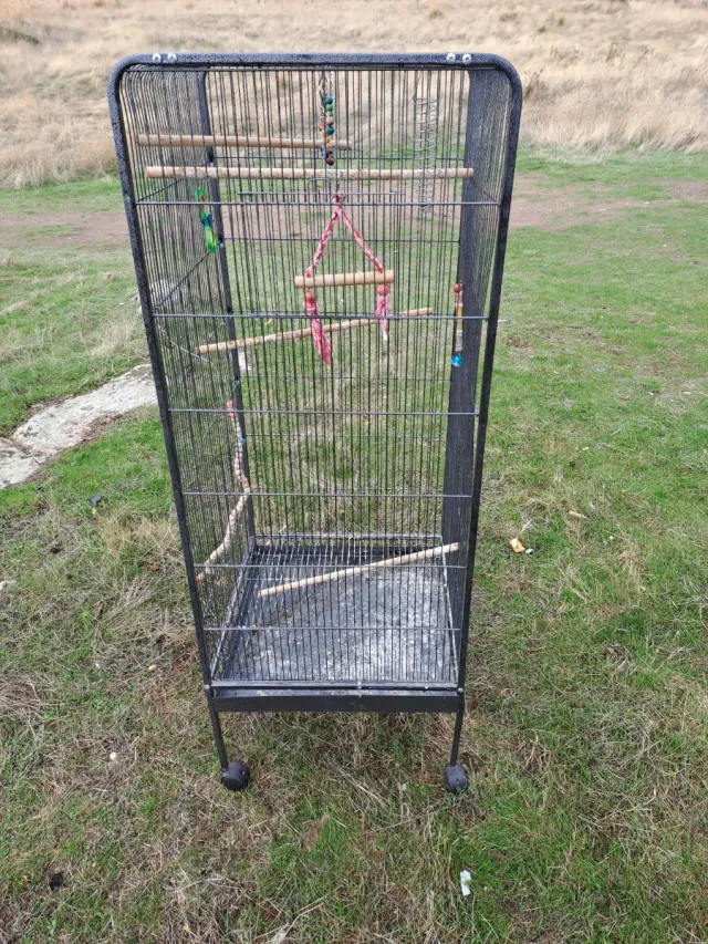 Jaula para loro grande