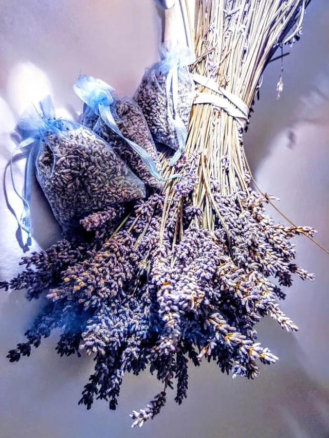 Sacchettini Lavanda Bio 10 pezzi