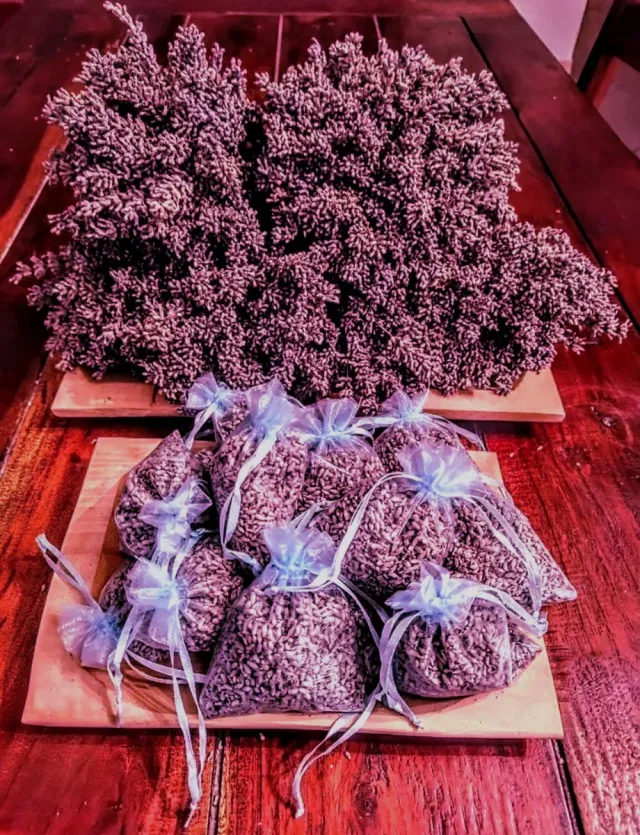 Sacchettini Lavanda Bio 10 pezzi