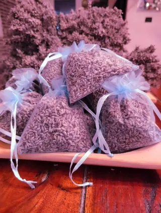 Sacchettini Lavanda Bio 10 pezzi