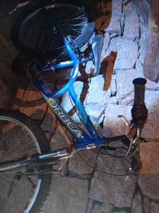 Bicicleta Orbea Loop