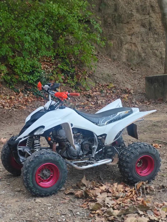 Yamaha Raptor YFM 350R