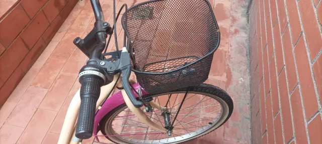 Bicicleta beige con cesta y guardabarros rosa