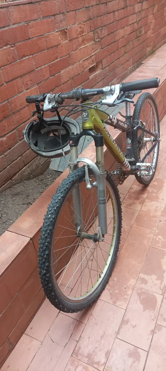 Bicicleta verde y negra