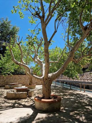 Solar en venta en Monserrat